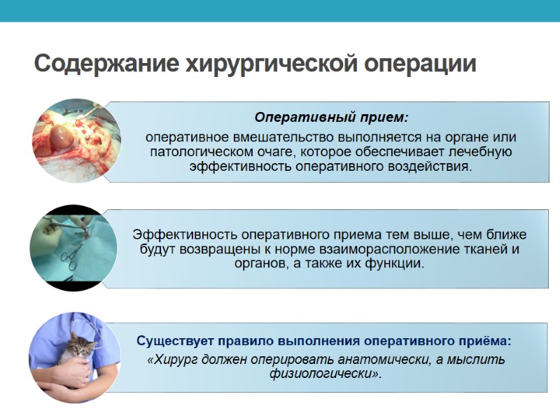 Содержание хирургической операции